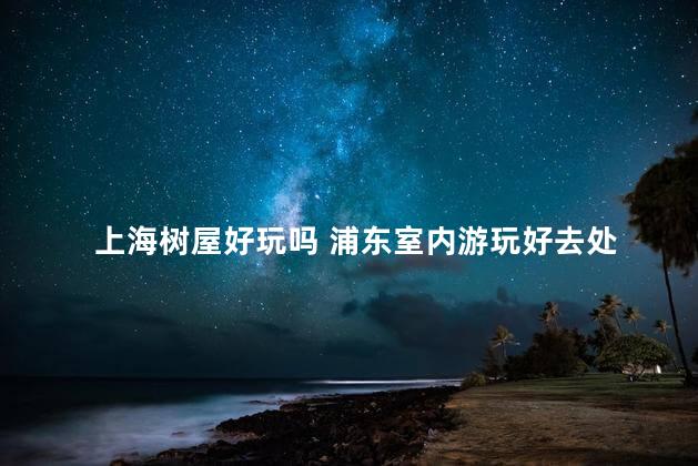 上海树屋好玩吗 浦东室内游玩好去处